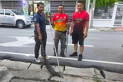 Огромный ящер вломился в ресторан и распугал посетителей