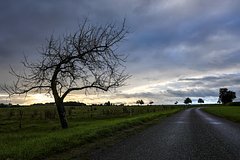 Психолог назвала способ предотвратить осеннюю депрессию